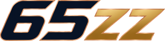 65zz লোগো